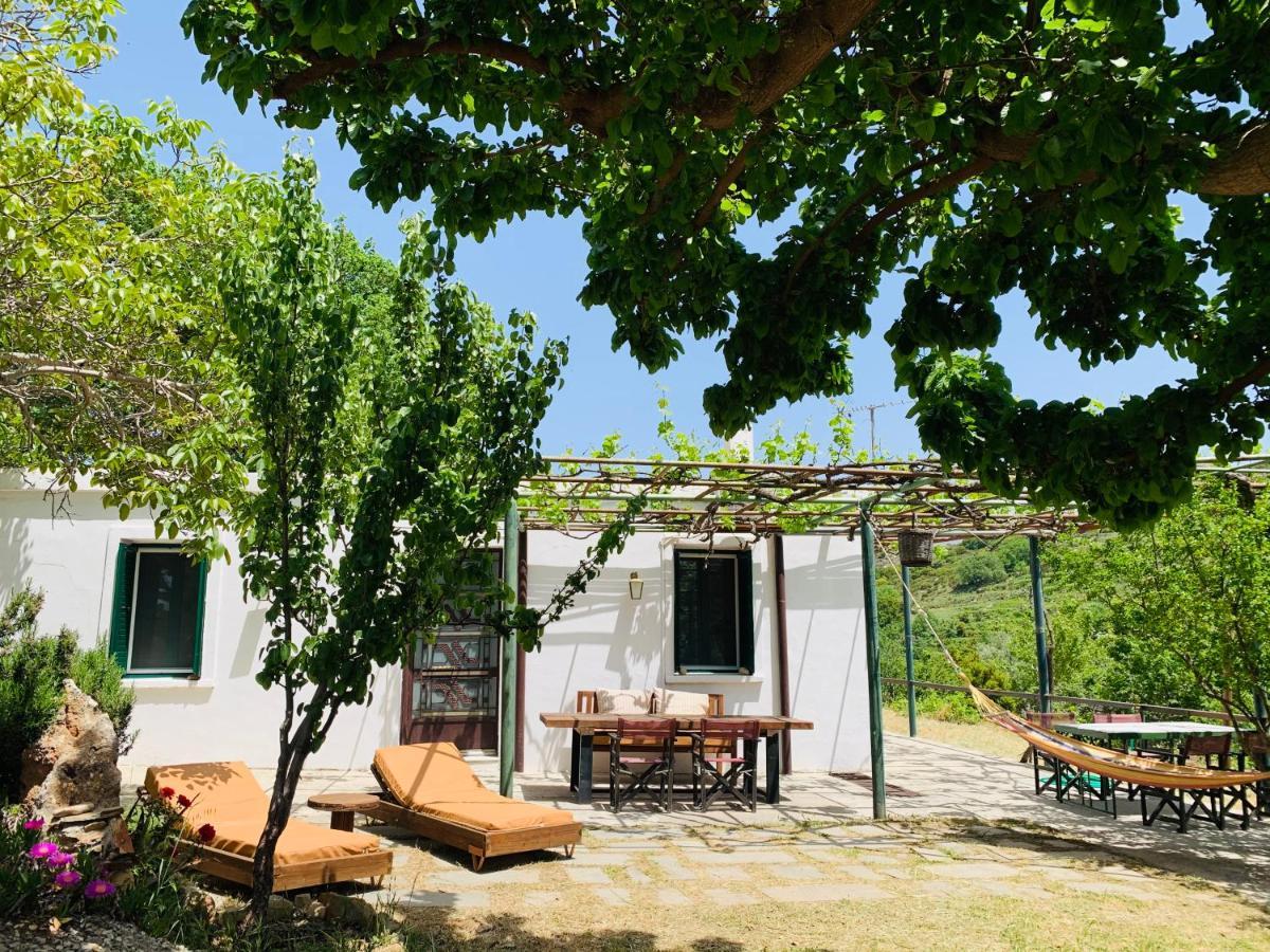Temenia House Villa Exterior foto
