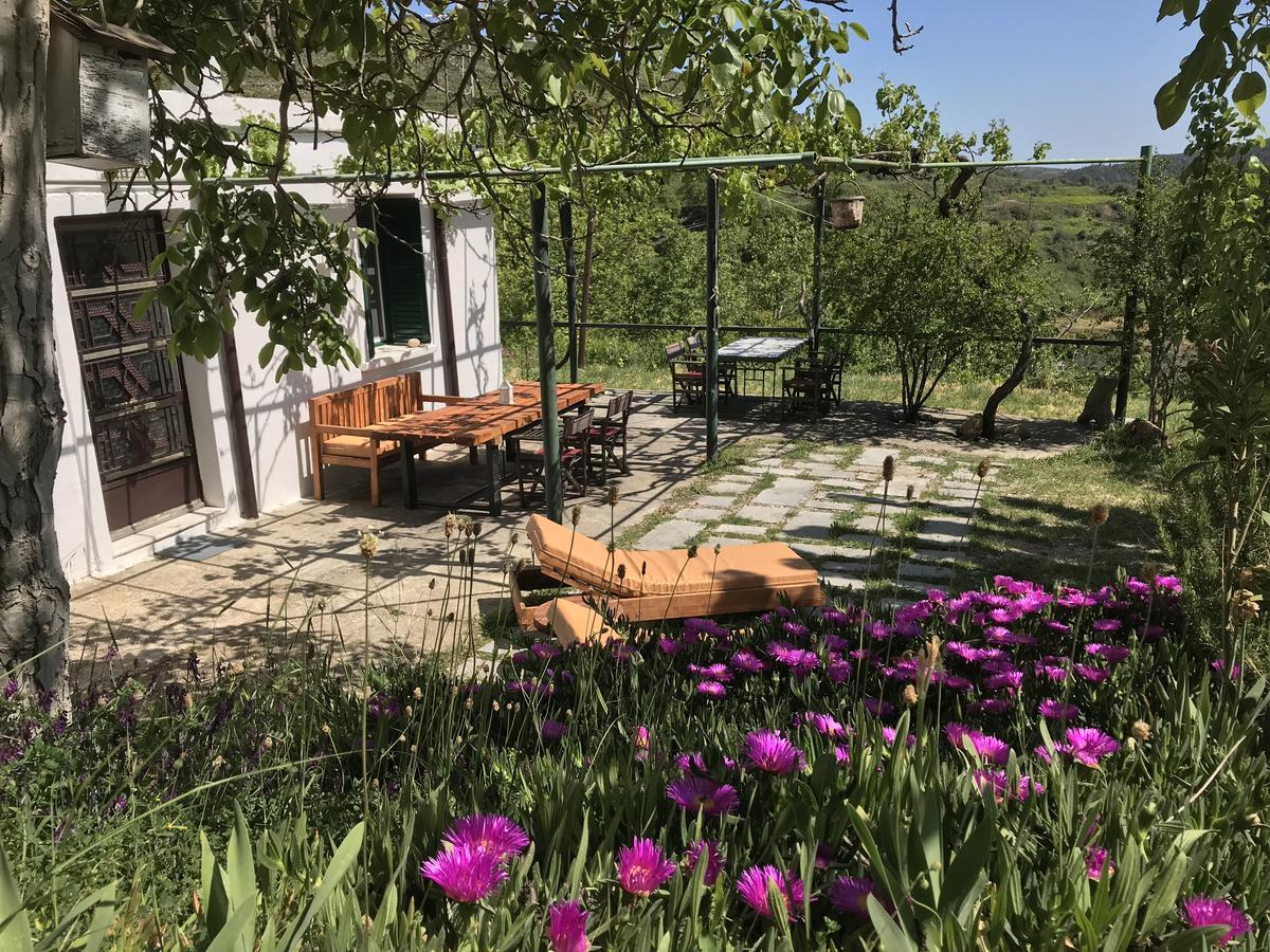Temenia House Villa Exterior foto