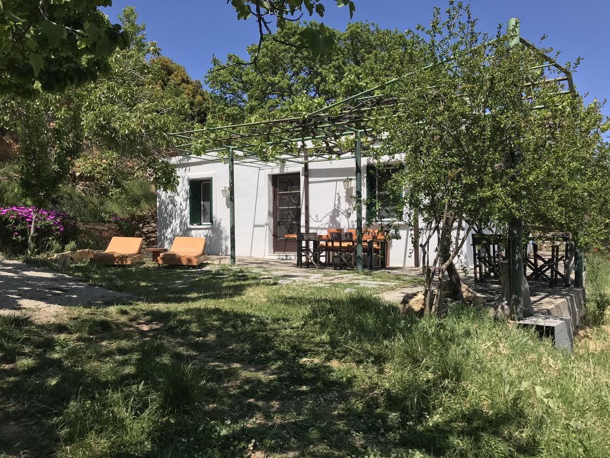 Temenia House Villa Exterior foto
